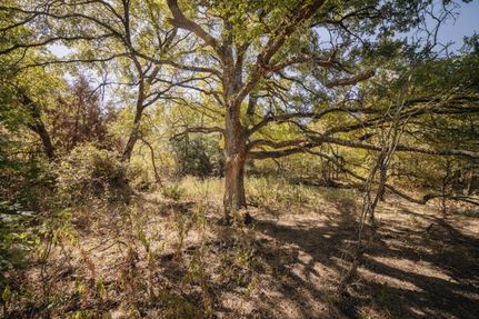 Timberland Property in McLennan County, Texas