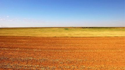 Farm and Ranch in Hale County, Texas