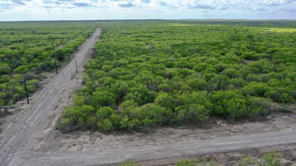 Undeveloped Land in Duval County, Texas