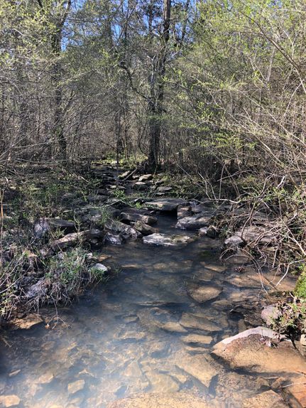 Timberland Property in White County, Arkansas