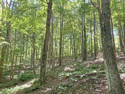 Recreational Property in Kanawha County, West Virginia