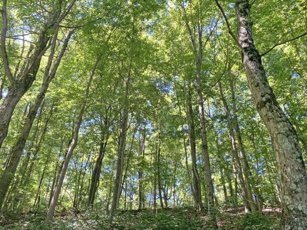 Recreational Property in Kanawha County, West Virginia