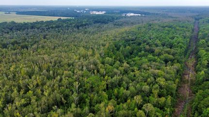 Timberland Property in Sumter County, South Carolina