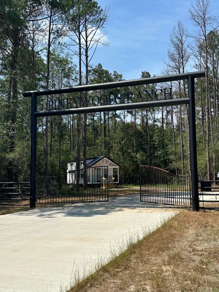 Timberland Property in Trinity County, Texas
