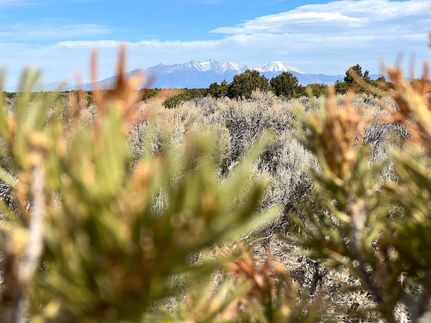 Farm and Ranch in Costilla County, Colorado