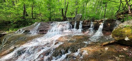 Undeveloped Land in Summers County, West Virginia
