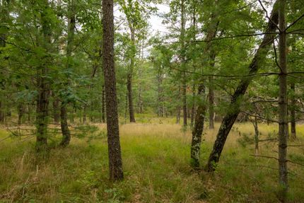 Recreational Property in Lake County, Michigan
