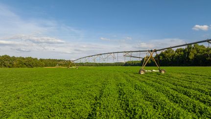 Recreational Property in Sumter County, Georgia