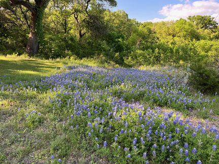 Homesite in Bell County, Texas