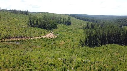 Hunting Property in Tuscaloosa County, Alabama