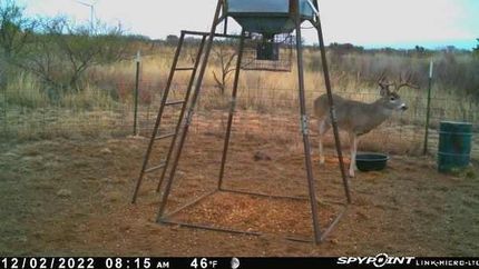 Hunting Property in Hardeman County, Texas
