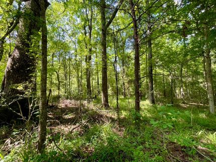 Farm and Ranch in Lincoln County, Mississippi