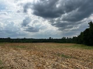 Farm and Ranch in Scott County, Mississippi