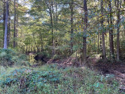 Farm and Ranch for sale in Leake County, Mississippi