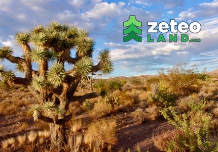 Land in Mohave County, Arizona