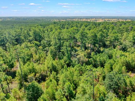 Undeveloped Land in Grimes County, Texas