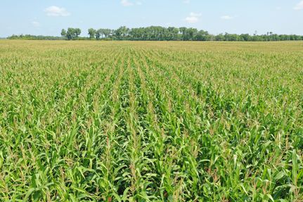 Land in Grand Forks County, North Dakota