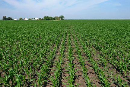 Land in Cass County, North Dakota