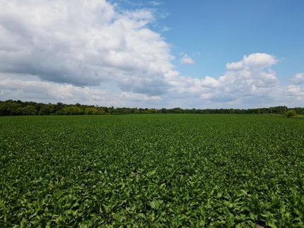 Hunting Property in Norman County, Minnesota