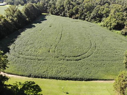 Land in Hardeman County, Tennessee