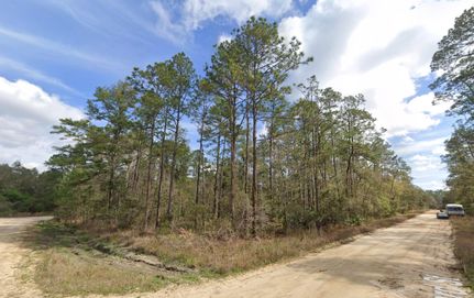 Timberland Property in Putnam County, Florida