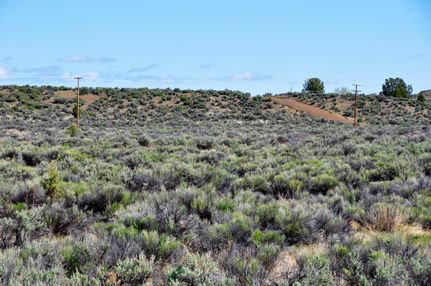 Undeveloped Land in Modoc County, California