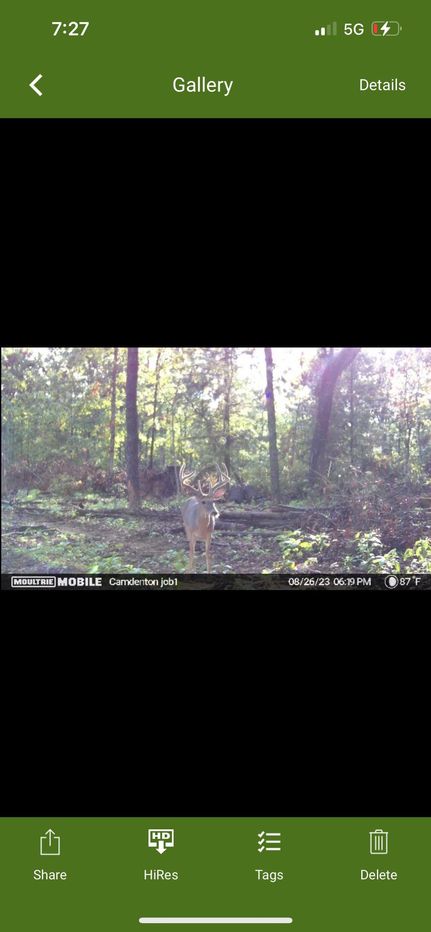 Recreational Property in Camden County, Missouri