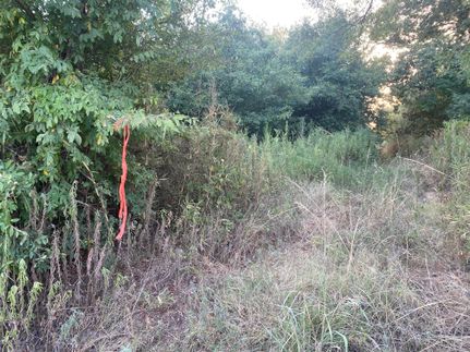 Recreational Property in Franklin Parish, Louisiana