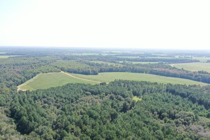 Farm and Ranch in Wilcox County, Georgia