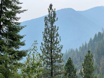 Recreational Property in Sanders County, Montana