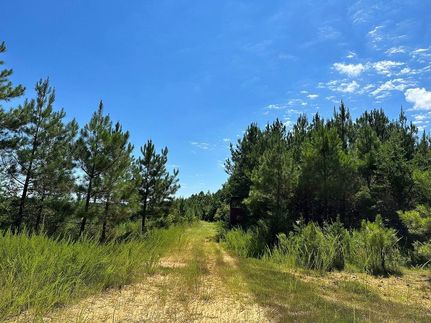 Undeveloped Land in Lunenburg County, Virginia