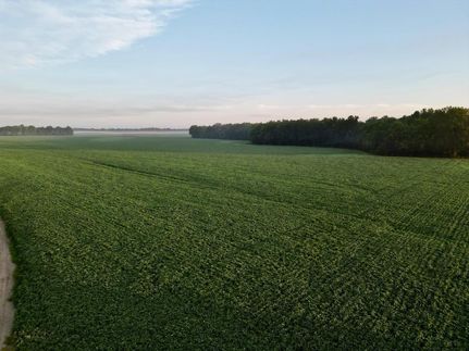 Riverfront Property in Mississippi County, Missouri