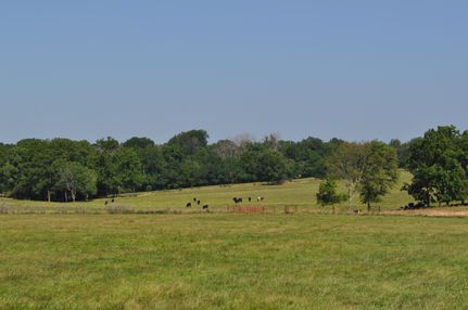 Undeveloped Land for sale in Greene County, Missouri
