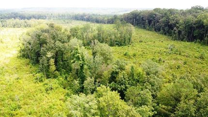 Hunting Property in Tishomingo County, Mississippi