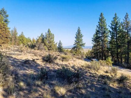 Undeveloped Land in Klamath County, Oregon