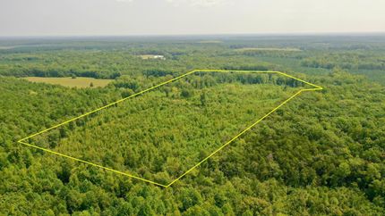 Undeveloped Land in Louisa County, Virginia