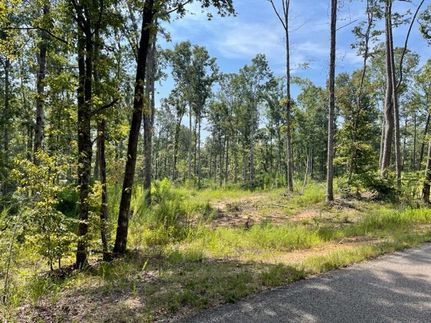 Timberland Property in Hardeman County, Tennessee