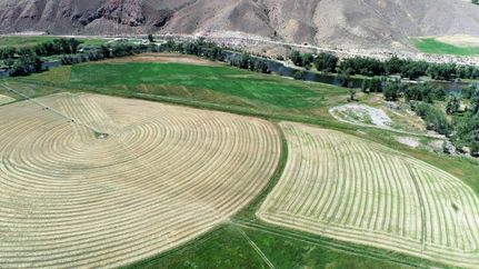 Farm and Ranch in Lemhi County, Idaho