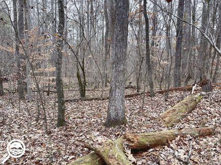 Land in Laurens County, South Carolina