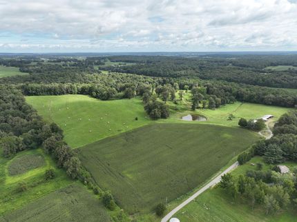 Timberland Property in Hopkins County, Kentucky