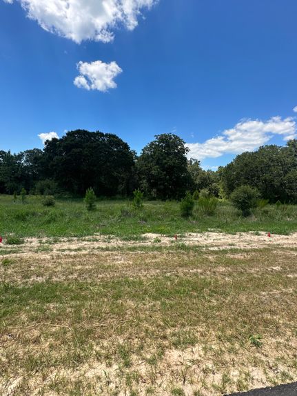 Recreational Property in Mobile County, Alabama