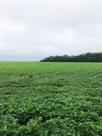 Farm and Ranch in Craighead County, Arkansas