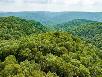 Undeveloped Land in Van Buren County, Arkansas