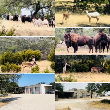 Farm and Ranch in Kerr County, Texas