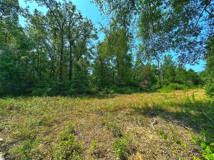 Undeveloped Land in Leon County, Texas