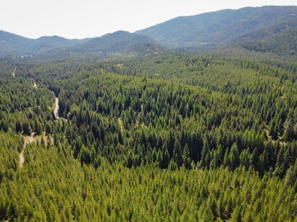 Timberland Property in Lincoln County, Montana