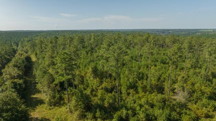 Recreational Property in Henry County, Alabama