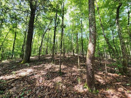 Undeveloped Land in Tallapoosa County, Alabama
