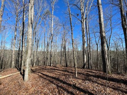 Undeveloped Land in Coweta County, Georgia