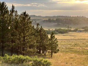 Farm and Ranch in Big Horn County, Montana